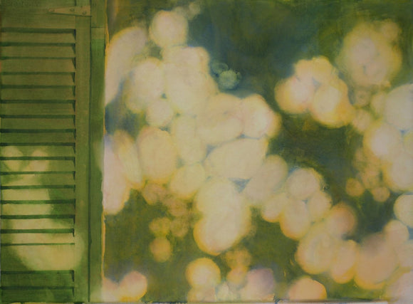 Dappled Shutter Shade