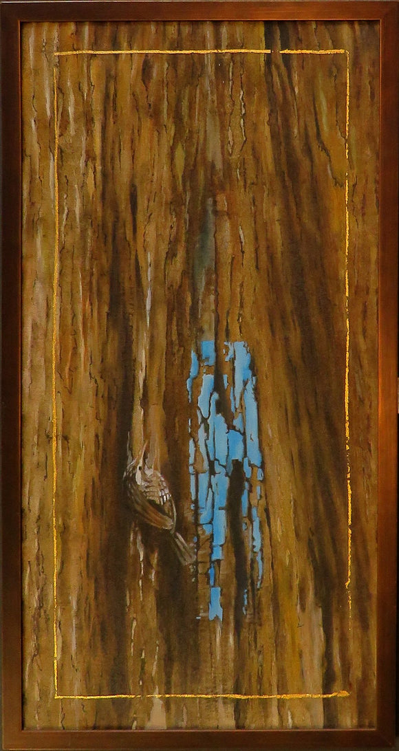 Bruce Trail, Brown Creeper