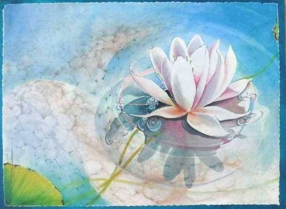 Late Afternoon Lily