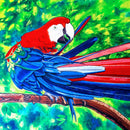 Pretty Bird' Preening-1