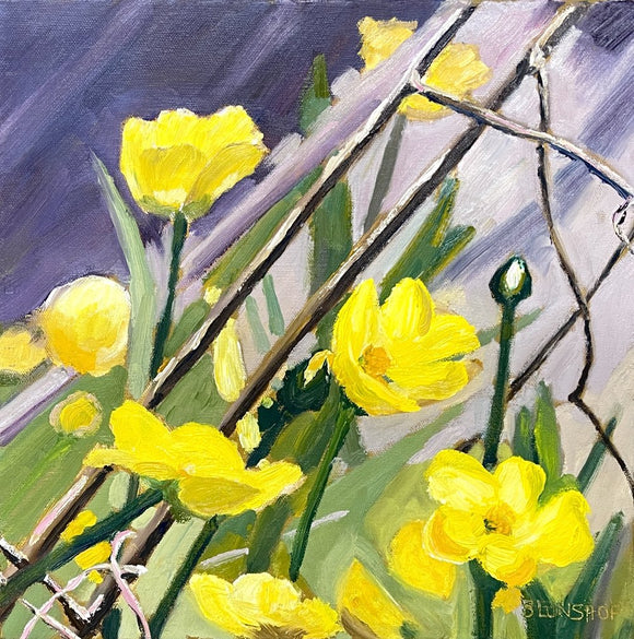 Buttercups