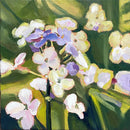 Summer Phlox-1
