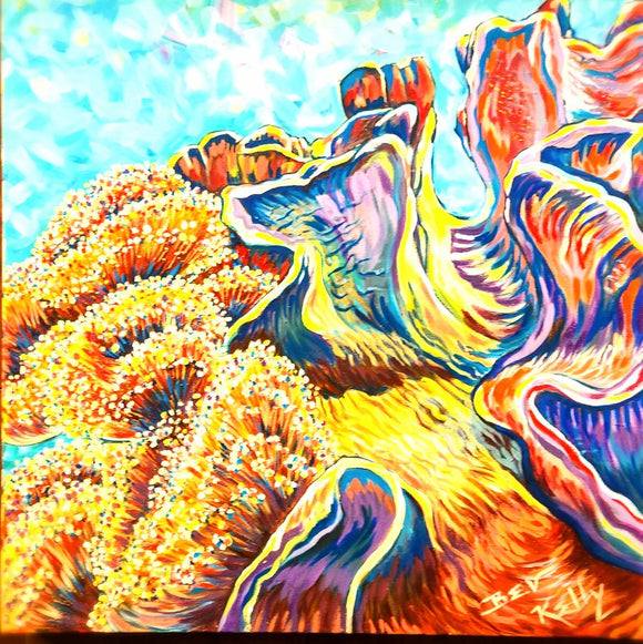 Coral Beauty