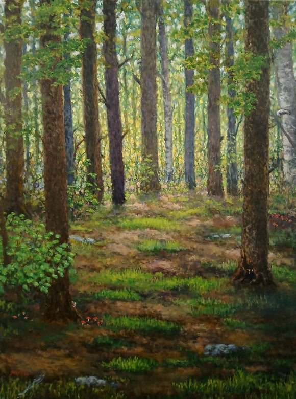 In the Enchanted Forest