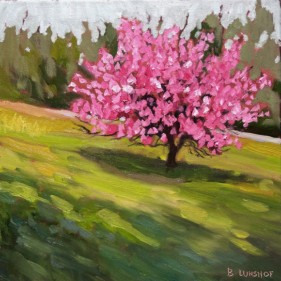 Red Bud Beauty