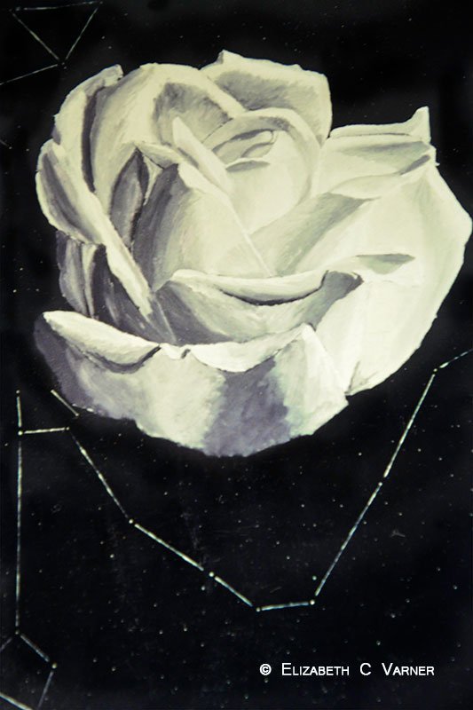 England’s Rose
