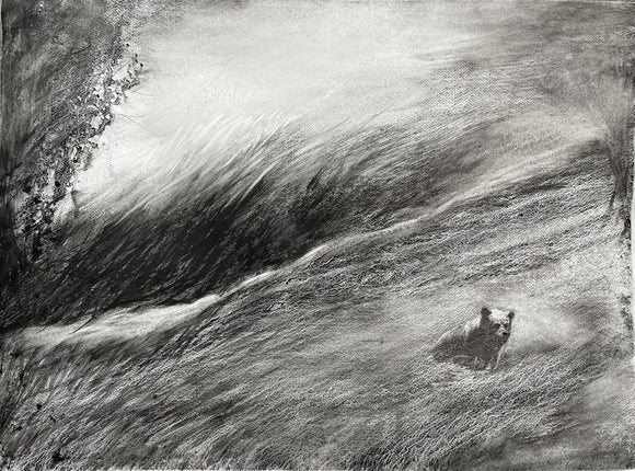 In the Quiet Passing