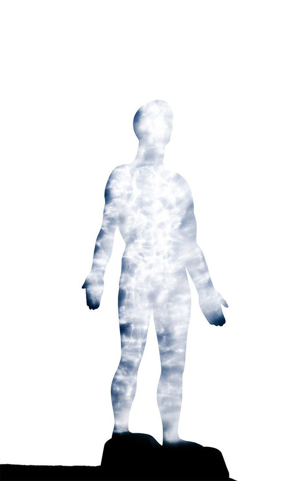 Visible Man