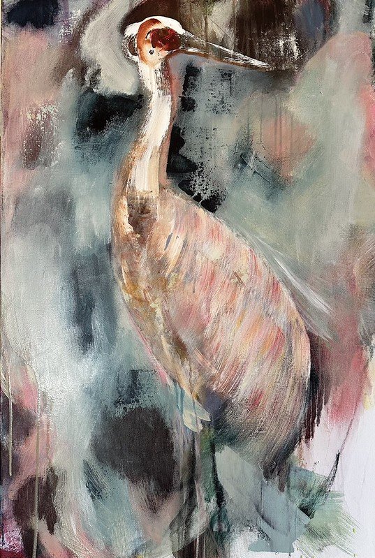 wetland wonder