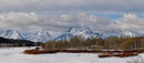Winter Silence at Oxbow Bend-1
