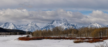 Winter Silence at Oxbow Bend