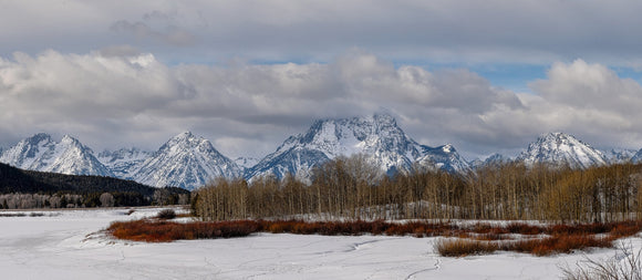 Winter Silence at Oxbow Bend