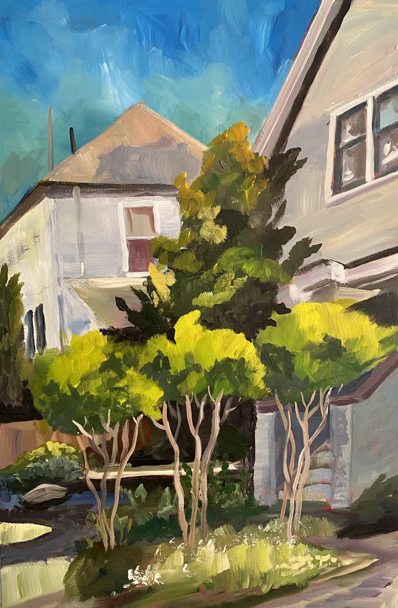 3 Trees
