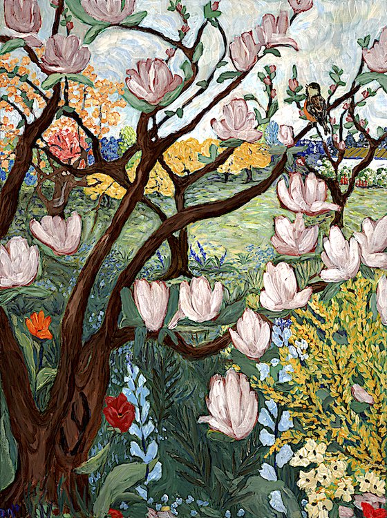 Magnolia Blossoms
