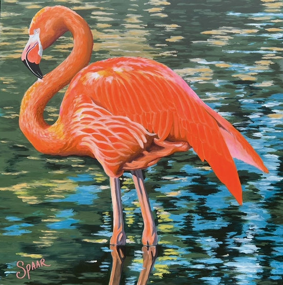 Flamingo
