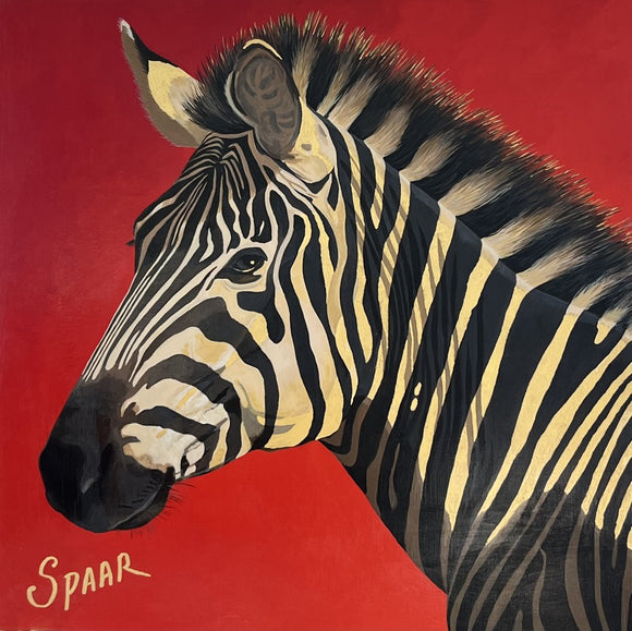 Zebra