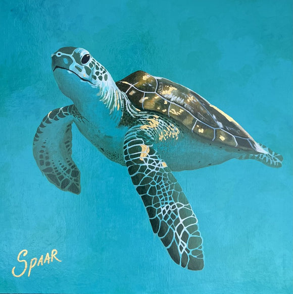 Sea Turtle