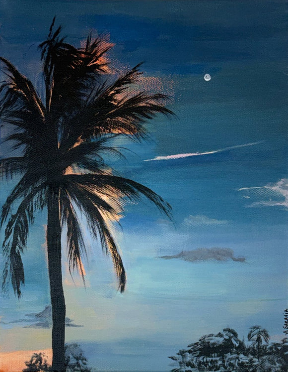 Evening Palm