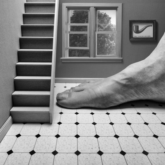 The Purpose of Floors