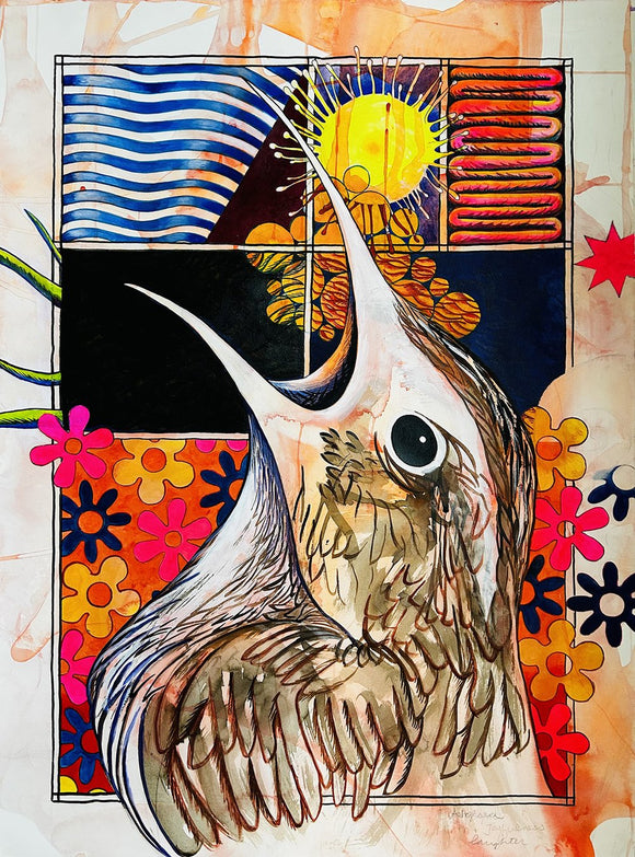 Appalachian Wren