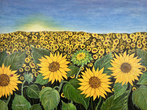 Sunflower Meadow #1