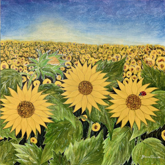 Sunflower Meadow #2