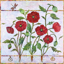 Poppies with Dragonfly-1