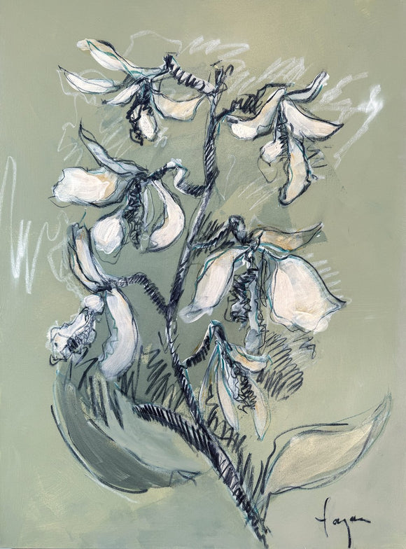 Orchid Essence: Stargazer