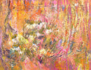 Interwoven Meadow: Echinacea Essence-1