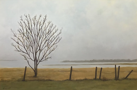 Solitude