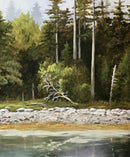Island Shoreline-1