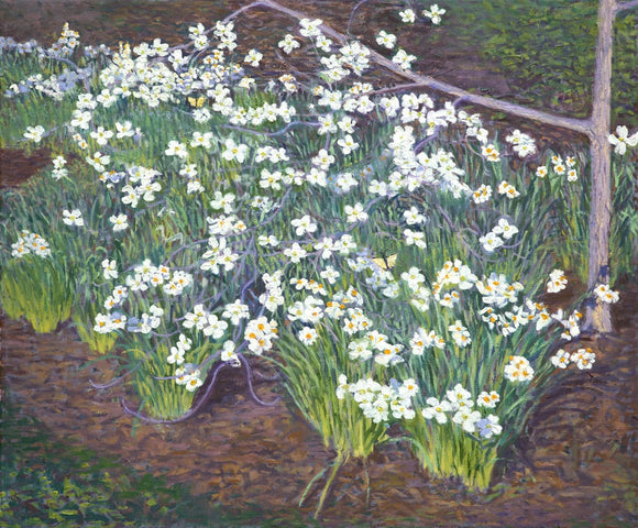 Dogwood and Daffodils