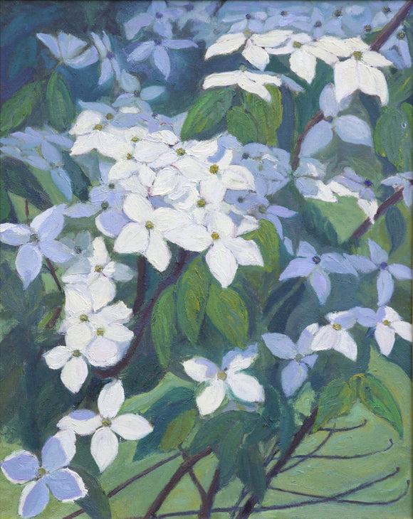Dogwood Blooms