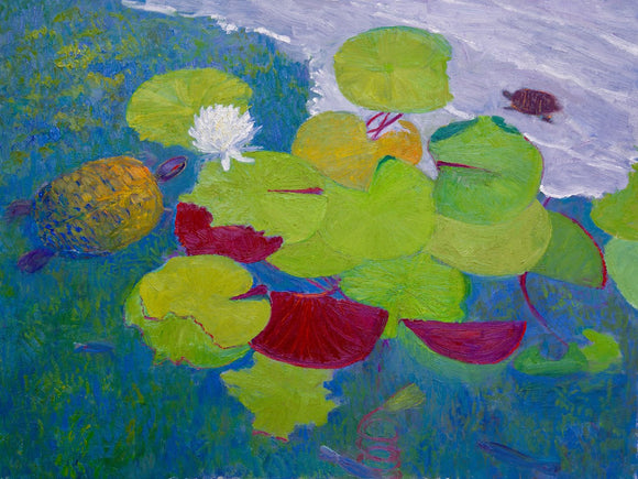Turtles and Lilies