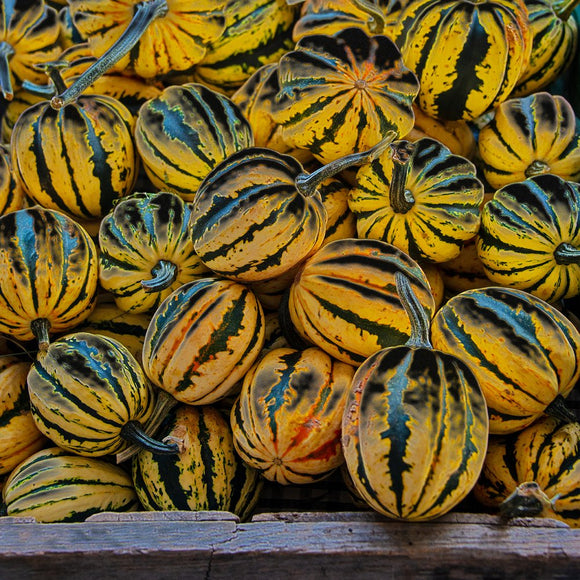 Electric Melons