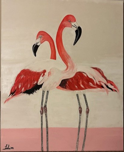 Flamingos