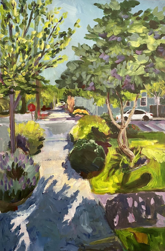 South Berkeley Shadows