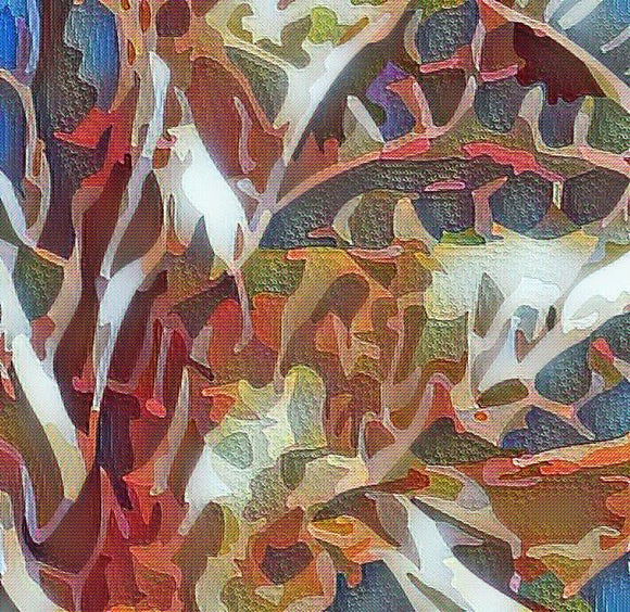 Petals in the Wind