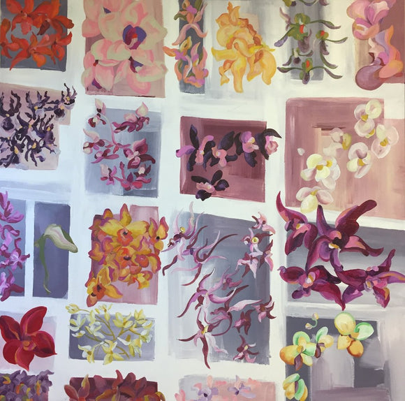 Hirshhorn's Orchids