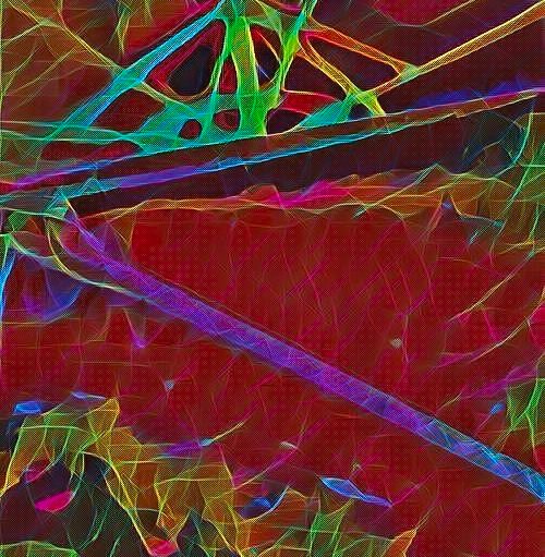 Caught In a Web