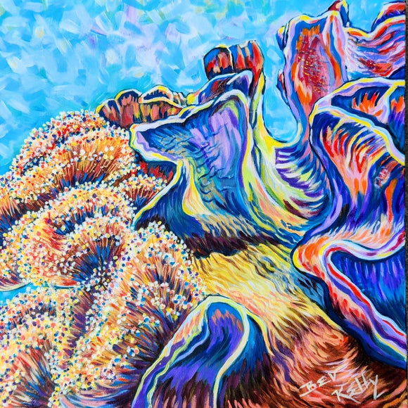Coral Beauty