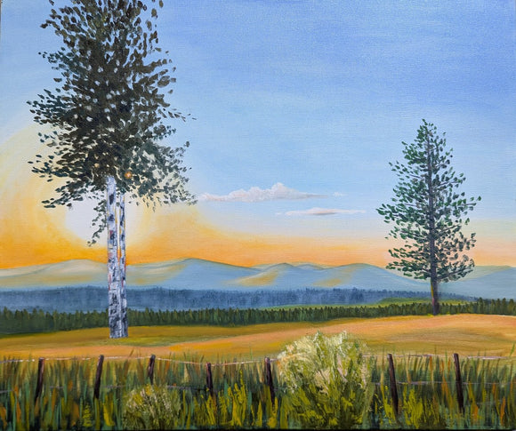 Northern Arizona Vista