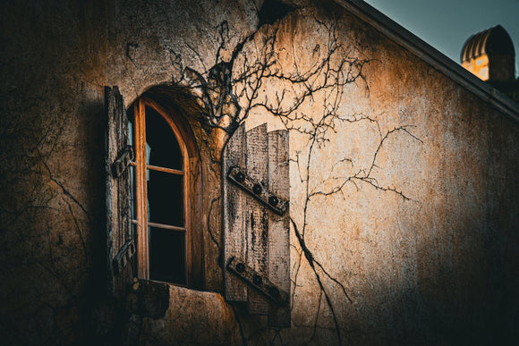 Vineyard Window