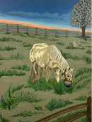 On the Road to Chilly Hollow:  Golden Hour Graze (1/2)-1