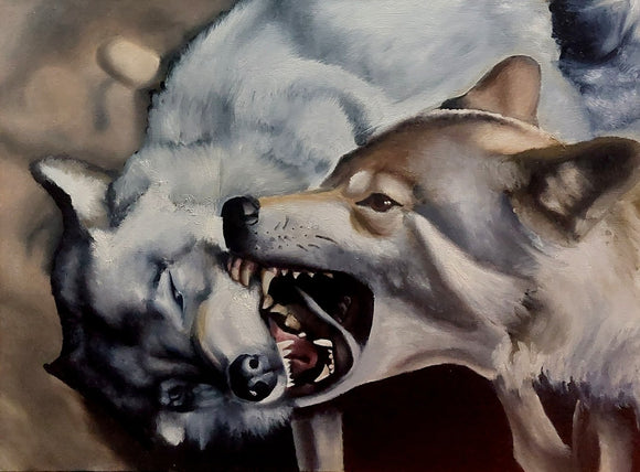 Wolves Fighting