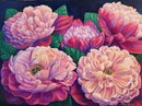 Peonies-1