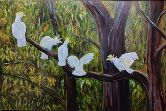 One Branch, Five Opinions