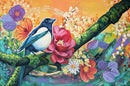 An Invitation to Bloom-1
