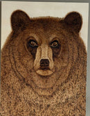 Grizzly Bear-1