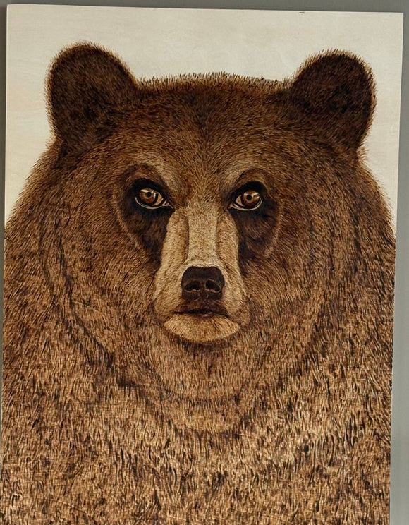 Grizzly Bear